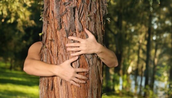 The Power of Nature and Rendezvous Trailside Wellness