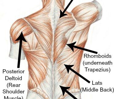 Autumn Focus Exercise:  Lower Back Strengthener