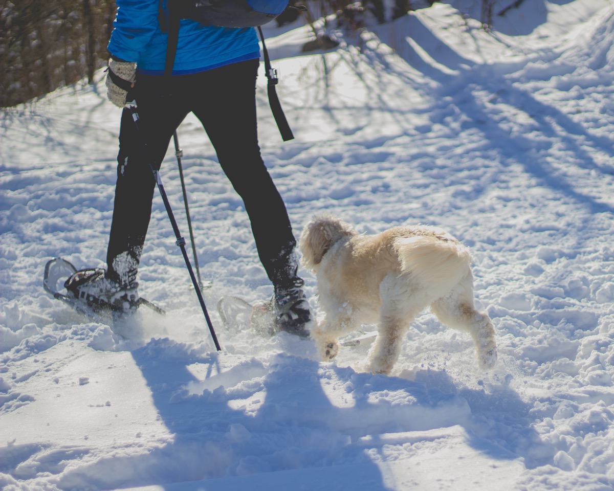 Winter Training Tips