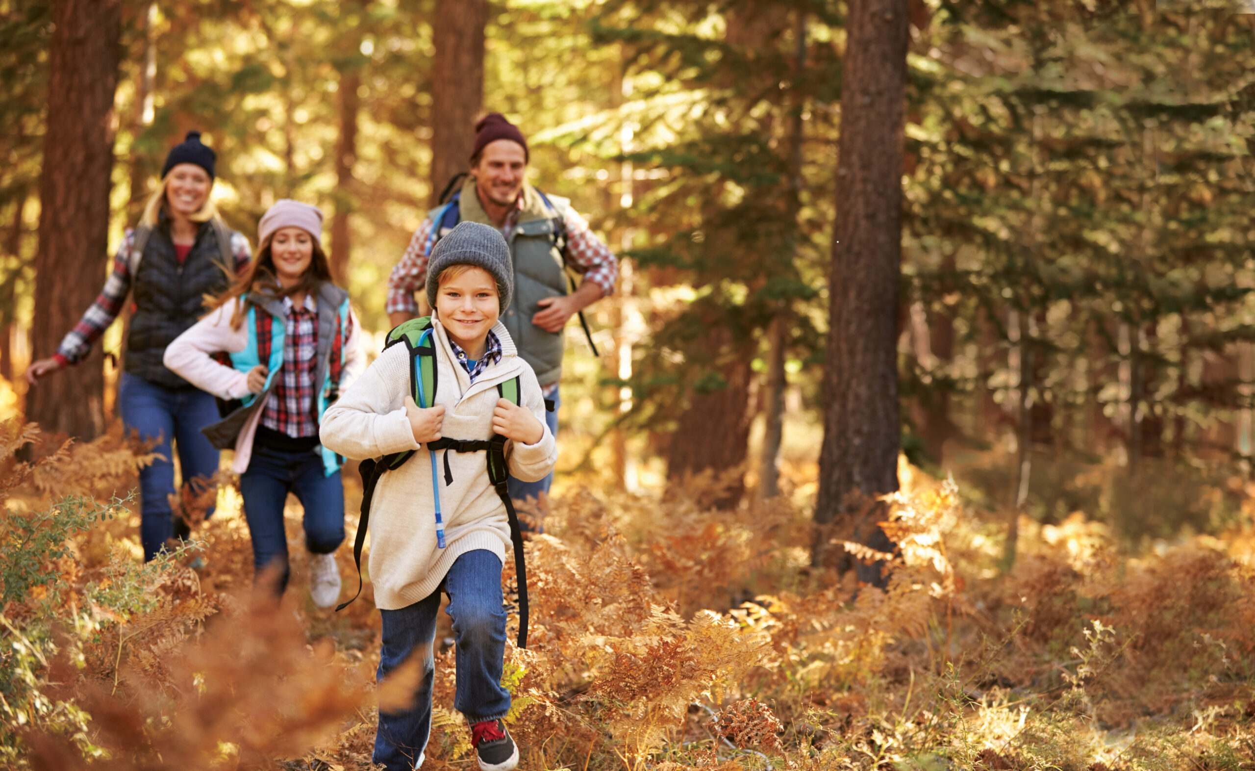 Family enjoying hike in a forest