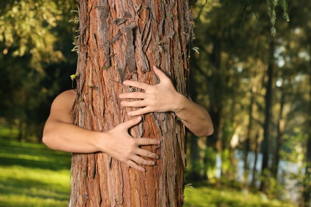 The Power of Nature and Rendezvous Trailside Wellness